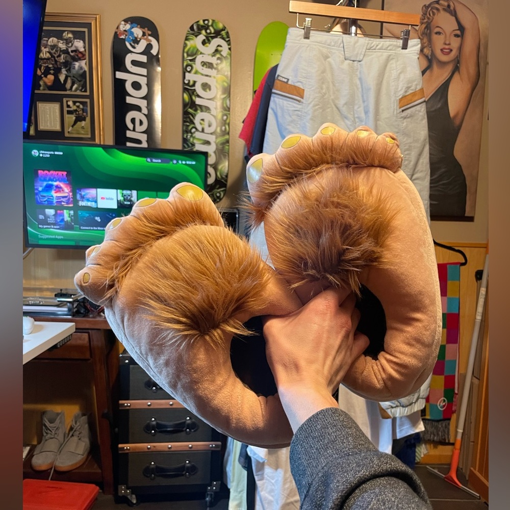 Hilarious, Harry feet slippers